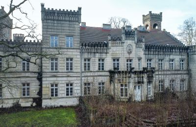 Castle for sale Gościeszyn, Pałac w Gościeszynie, Greater Poland, Photo 6/15
