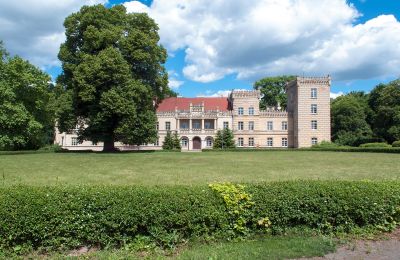 Castle for sale Gościeszyn, Pałac w Gościeszynie, Greater Poland, Pałac w Gościeszynie
