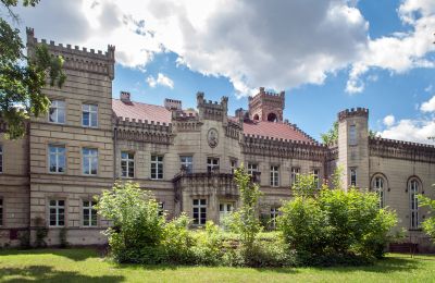 Castle for sale Gościeszyn, Pałac w Gościeszynie, Greater Poland, Back view