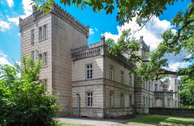Castle for sale Gościeszyn, Pałac w Gościeszynie, Greater Poland, Side view