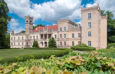 Castle for sale Gościeszyn, Pałac w Gościeszynie, Greater Poland, Exterior View