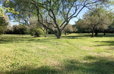 Country home for sale Uzès, Occitania, Photo 13/14