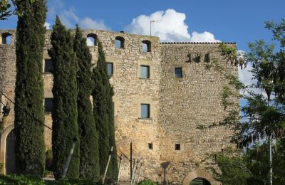 Medieval Castle for sale Granyanella, ASSUMPCIO 4, Catalonia, Exterior View