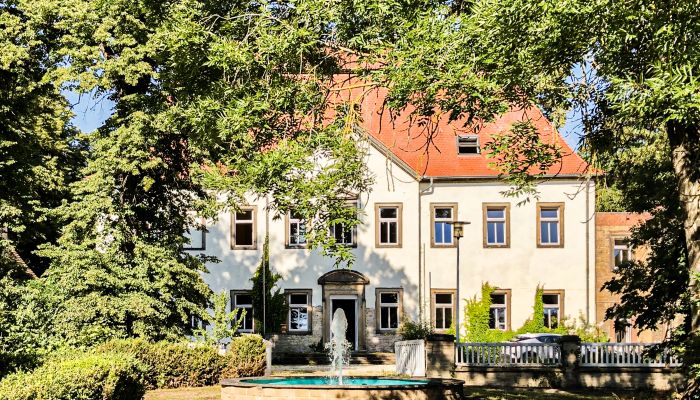Castle 06632 Gleina, Saxony-Anhalt
