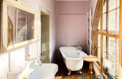 Medieval Castle for sale 06632 Gleina, Saxony-Anhalt, Innenansicht-Main House