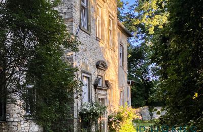 Medieval Castle for sale 06632 Gleina, Saxony-Anhalt, Außenansicht