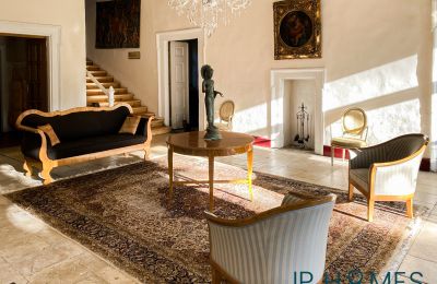Medieval Castle for sale 06632 Gleina, Saxony-Anhalt, Innenansicht-Main House