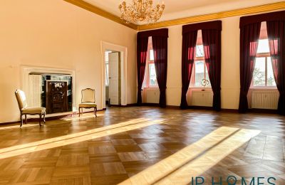 Medieval Castle for sale 06632 Gleina, Saxony-Anhalt, Innenansicht-Main House