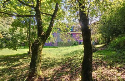 Manor House for sale Lourdes, Occitania, Photo 34/35