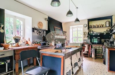 Manor House for sale Lourdes, Occitania, Photo 8/35