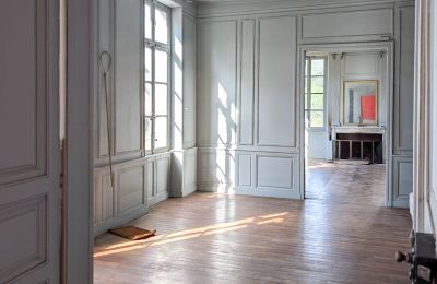 Castle for sale Chartres, Centre-Loire Valley, Photo 7/10