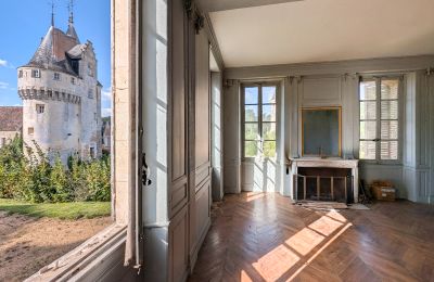 Castle for sale Chartres, Centre-Loire Valley, Photo 8/10