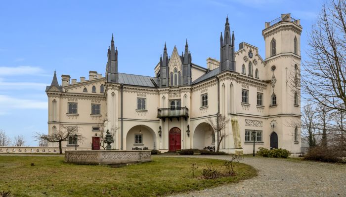 Castle for sale Patrykozy, Mazovia,  Poland