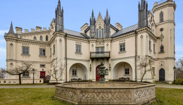Castle for sale Patrykozy-Kolonia, Mazovia