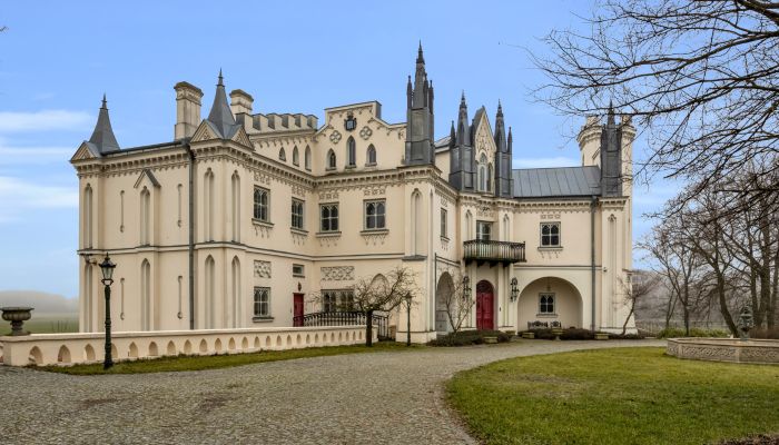 Castle for sale Patrykozy-Kolonia, Mazovia