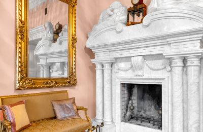 Castle for sale Patrykozy, Mazovia, Fireplace