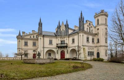 Castle Patrykozy, Mazovia