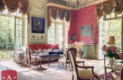 Historic Villa for sale Rabastens, Occitania, Photo 2/18