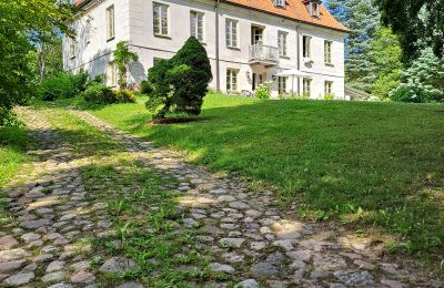 Manor House for sale Dawidy, Dwór w Dawidach, Warmia-Masuria, Back view