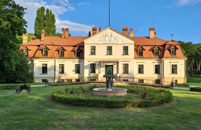 Manor House for sale Dawidy, Dwór w Dawidach, Warmia-Masuria, Neighborhood: Kadyny