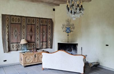 Manor House for sale Dawidy, Dwór w Dawidach, Warmia-Masuria, Large Hall