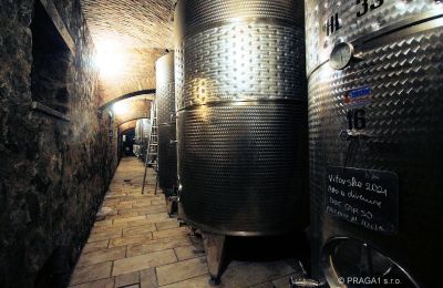 Castle for sale Italy, Photo 18/21