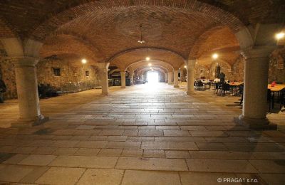 Castle for sale Italy, Photo 19/21