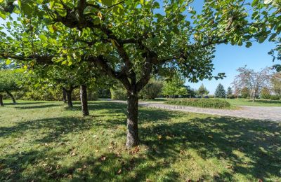 Manor House for sale Trębki Nowe, Mazovia, Photo 25/35