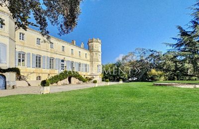 Manor House for sale Saint-Sulpice-la-Pointe, Occitania, Back view