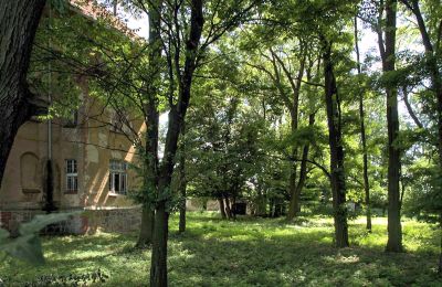 Manor House for sale Udanin, Główna, Lower Silesia, Palace Garden