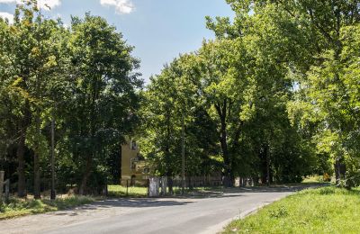 Manor House for sale Udanin, Główna, Lower Silesia, Photo 9/12