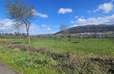 Manor House for sale 36740 Tomiño, Galicia, Photo 16/28