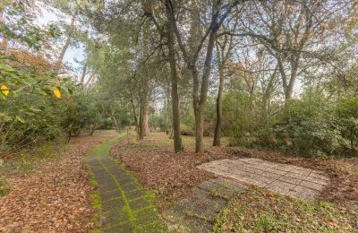 Historic Villa for sale Senigallia, Via Casini-Soccorso 1/A, Marche, Photo 32/39