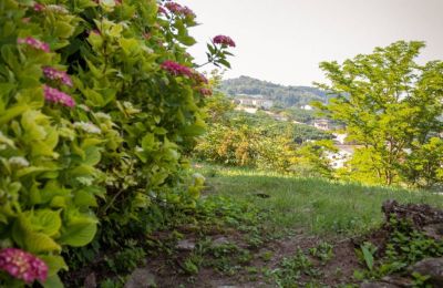 Historic Villa for sale Bosia, Via Rutte  2, Piemont, Photo 34/47