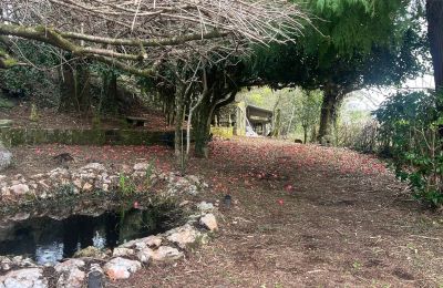 Country home for sale 36740 Tomiño, Galicia, Lake