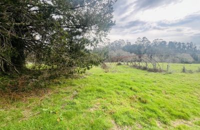 Country home for sale 36740 Tomiño, Galicia, Property