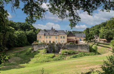Character Properties, Château in Périgord Noir, Dordogne - High quality restoration and holiday cottages - 165,8 acres