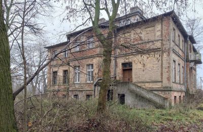 Manor House for sale Parsko, Pałac w Parsku, Greater Poland, Photo 14/16
