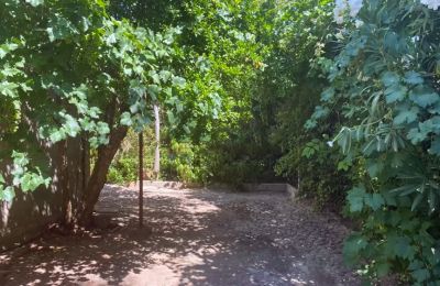 City palace for sale Almagro, Castile-La Mancha, Garden