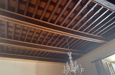 City palace for sale Almagro, Castile-La Mancha, Roof