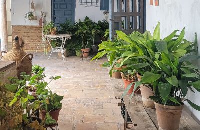City palace for sale Almagro, Castile-La Mancha, Courtyard