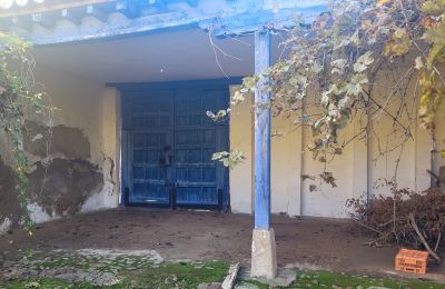 City palace for sale Almagro, Castile-La Mancha, Garden