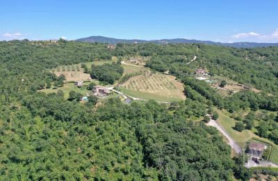 Country home for sale 06060 Lisciano Niccone, Umbria, Photo 21/48