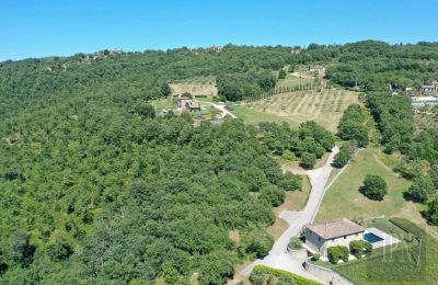 Country home for sale 06060 Lisciano Niccone, Umbria, Photo 20/48