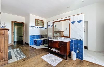 Herregård til salg Tournay, Occitanie, Billede 20/26