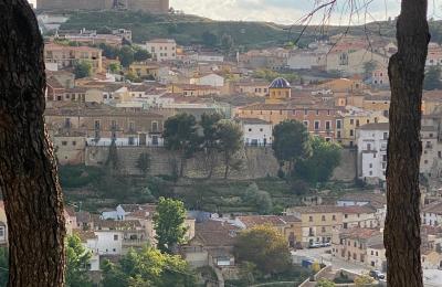 City palace for sale Chinchilla de Monte-Aragón, Calle Doctor Daudén  2, Castile-La Mancha, view of the village from the hill