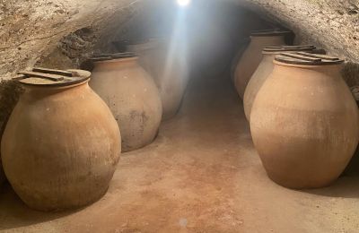 City palace for sale Chinchilla de Monte-Aragón, Calle Doctor Daudén  2, Castile-La Mancha, Wine cellar