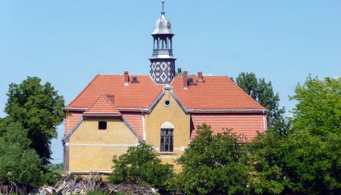 Castle Tyńczyk Legnicki, Lower Silesia