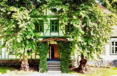 Castle for sale Neustadt-Glewe, Mecklenburg-West Pomerania, Back view