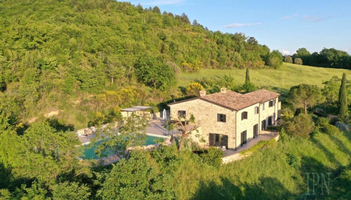  Montone 3